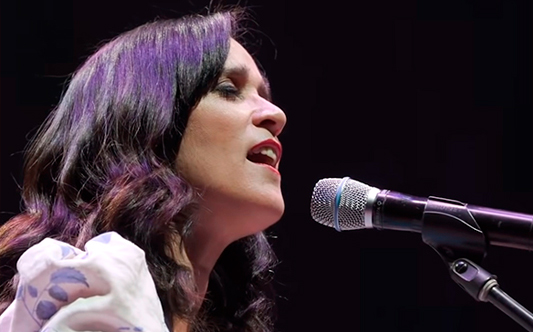 Julieta Venegas